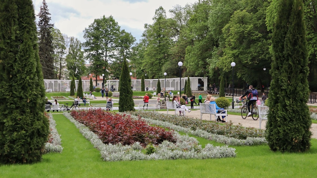 Rose park in the center of a Polish city.